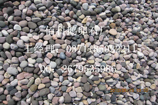 佰科鵝卵石廠等待排隊(duì)裝變壓器鵝卵石的車(chē)隊(duì)